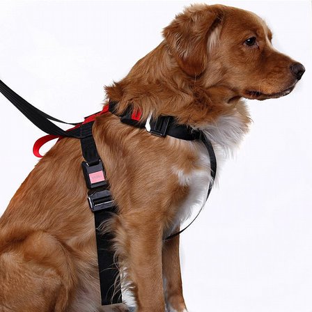 Artfex Dog Harness Bilsele Medium